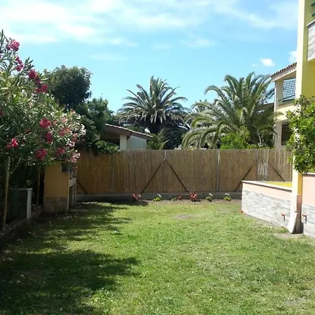 Welcomely - Mimosina M46 Muravera